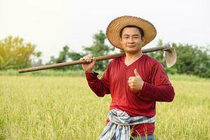 Asian man farmer  carry a hoe on shoulder at paddy field.  Concept, agriculture,  organic farming. No chemical. Using traditional manual tool in stead of use herbicide. Zero pollution. photo