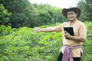 Handsome Asian man farmer is at cassava garden, holds smart tablet to check quality of growth and plants disease. Plan agricultural market online. Concept , Smart farmer. Technology agriculture. photo