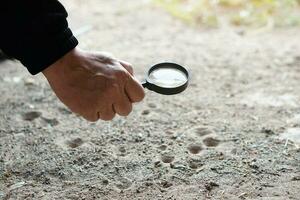 Closeup hand holds magnifying glass to explore tiny insects in holes on ground. Concept, examine, explore, research nature or biological organisms. Study about insects behavior. Science tool. photo