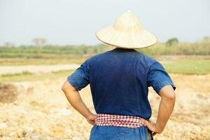 Back view of Asain man farmer wears hat, blue shirt, put hands on waist, stands at agriculture area. Concept , Agriculture occupation. Thai Farmer. photo