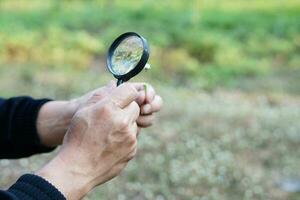 Close up hands hold magnifying glass to inspect tiny plants outdoor. Concept, examine, explore, research nature or biological organisms. Study about environment and plants. Science tool photo