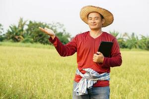 Handsome Asian farmer is at paddy field, holds smart tablet to inspect rice plants ,do research . Pose hand to present something. Concept, agriculture occupation. Smart farmer life style. photo