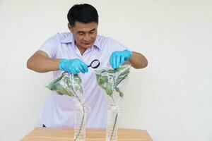 Asian man teacher doing science experiment, inspect sample plants, holds magnifying glass to  check the result of experiment. Concept, Science subject, Observing and analysis transpiration of plants. photo