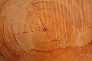Lumber Wooden Texture Background photo