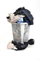 unwashed cloth in basket photo