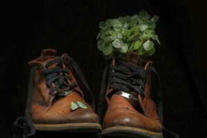 A pair of brown vintage leather shoes with a bouquet of green leaves. Beautiful boots made of genuine leather. Retro shoes. photo