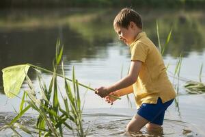 un pequeño chico con un mariposa red capturas freír en el lago. foto