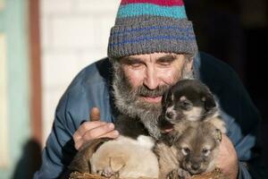 un mayor hombre con pequeño cachorros. perro criador. perrito vendedor. perro perrera. foto