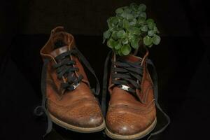 A pair of brown vintage leather shoes with a bouquet of leaves. Beautiful boots made of genuine leather. Retro shoes. photo
