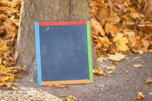 Against the background of an autumn park, a black board easel for inscriptions photo