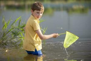 A little boy with a butterfly net catches fry in the lake. photo