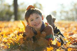 contento pequeño chico en el otoño parque. foto