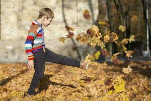 Happy little boy in the autumn park throws up leaves. photo