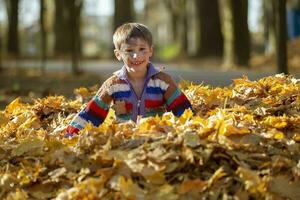Happy little boy in a pile of yellow leaves in the autumn park. photo