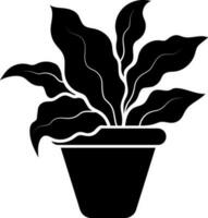 aglaonema planta icono en negro y blanco color. vector