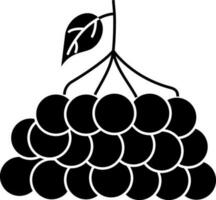 Rowan Berry Icon In black and white Color. vector