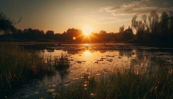 Sunset over tranquil pond, nature beauty reflected generated by AI photo