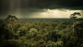 Tranquil sunset over tropical rainforest, no people generated by AI photo