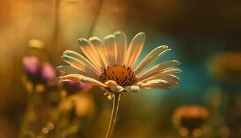 Fresh daisy blossom in tranquil meadow sunrise generated by AI photo