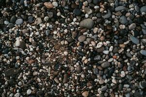 Smooth background with a texture of different sizes of pebbles. Pebble beach. Close-up. photo