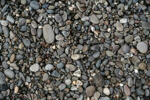 Smooth background with a texture of different sizes of pebbles. Pebble beach. Close-up. photo