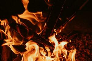 A bonfire in close-up, flames, charred pieces of logs and ashes in the open air. Camping. photo