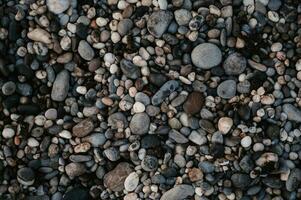 Smooth background with a texture of different sizes of pebbles. Pebble beach. Close-up. photo