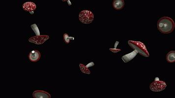 cogumelos, fungo ou covarde fundo. queda cogumelos sobre alfa canal. chuva do cogumelos através a tela video