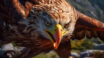 Hyper Focused Flying Golden Eagle in the wild ART photo