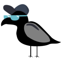 linda gracioso negro pájaro con Gafas de sol dibujos animados png