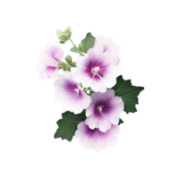 isolated flowers and tropical leaves png