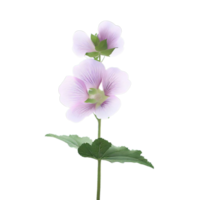 isolated flowers and tropical leaves png