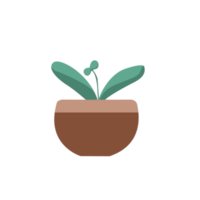 Rubber Plant Illustration png