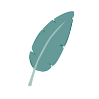 plátano planta ilustración png