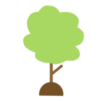 illustrazione di alberi verdi png