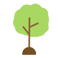 illustration d'arbres verts png