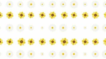 Sunflower and Daisy Seamless Pattern background. Fresh Floral pattern looped animated background. Cute flower pattern in flat design video