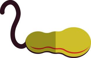 Human gallbladder icon in color with half shadow. vector