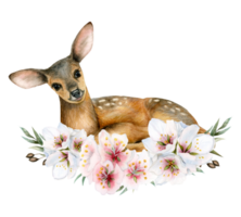 Watercolor young baby deer in pink white flowers wreath illustration. Hand drawn animal clipart for cards, stickers, invitations png