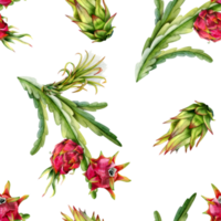 Watercolor pitaya cactus branches with red dragon fruits and flowers seamless pattern. Realistic botanical drawing of exotic growing tropical plants png