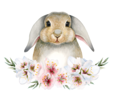 Watercolor Easter rabbit with spring pink white flowers and leaves wreath illustration. Cute hand drawn bunny for stickers, kids room nursery decor png