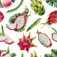 Pink red pitaya watercolor dragon fruits and tropical leaves seamless pattern with pitahaya drawings. Hand drawn botanical illustration for summer menus, fabrics, designs png