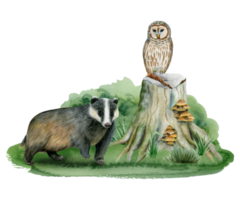 Woodland animals badger and owl on tree stump and grass watercolor forest illustration for children room designs png