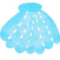 acuarela dibujo conchas png