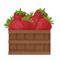 aardbei fruit illustratie png