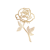 Golden Rose Outline png