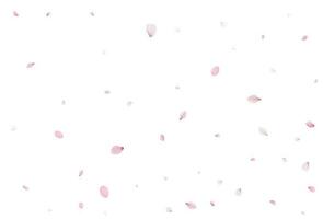 Romantic sakura background. Vector illustration.