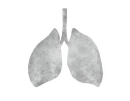 Lung X-ray photo with pneamonia disease on transparency background png