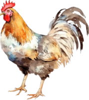 Hen Watercolor Illustration. AI Generated png