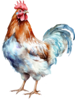 poule aquarelle illustration. ai généré png